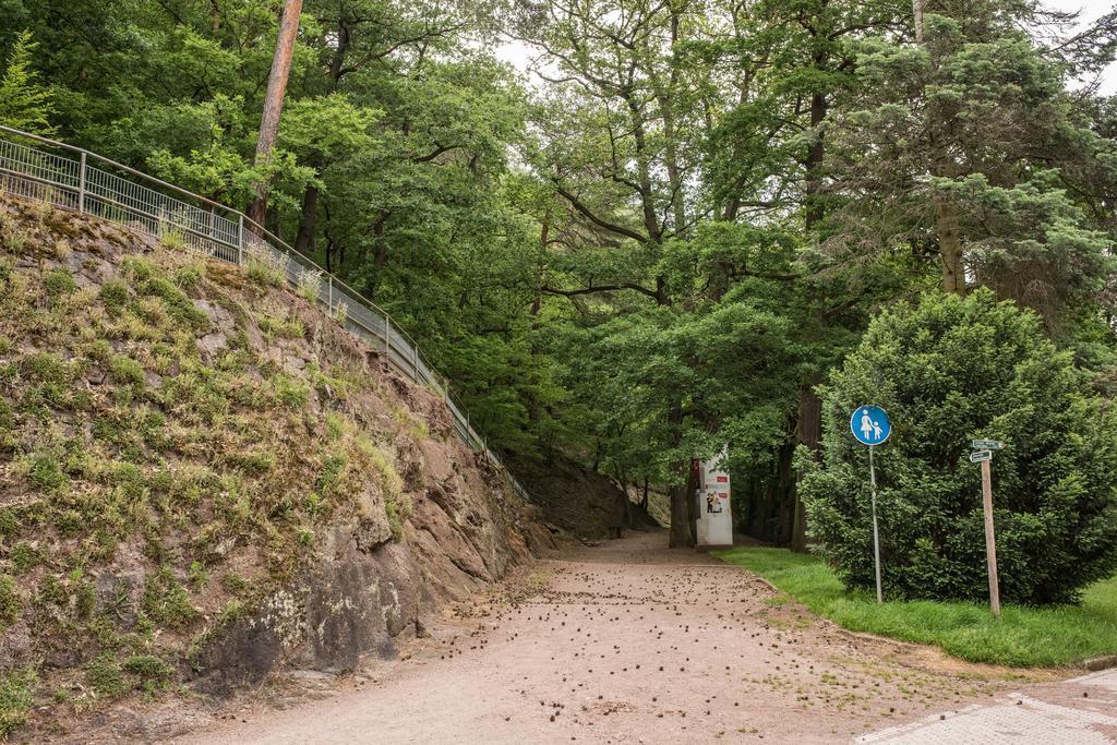 Loftwohnung mit Sauna - Natur und Kultur in Eisenach erleben und genießen Exterior foto